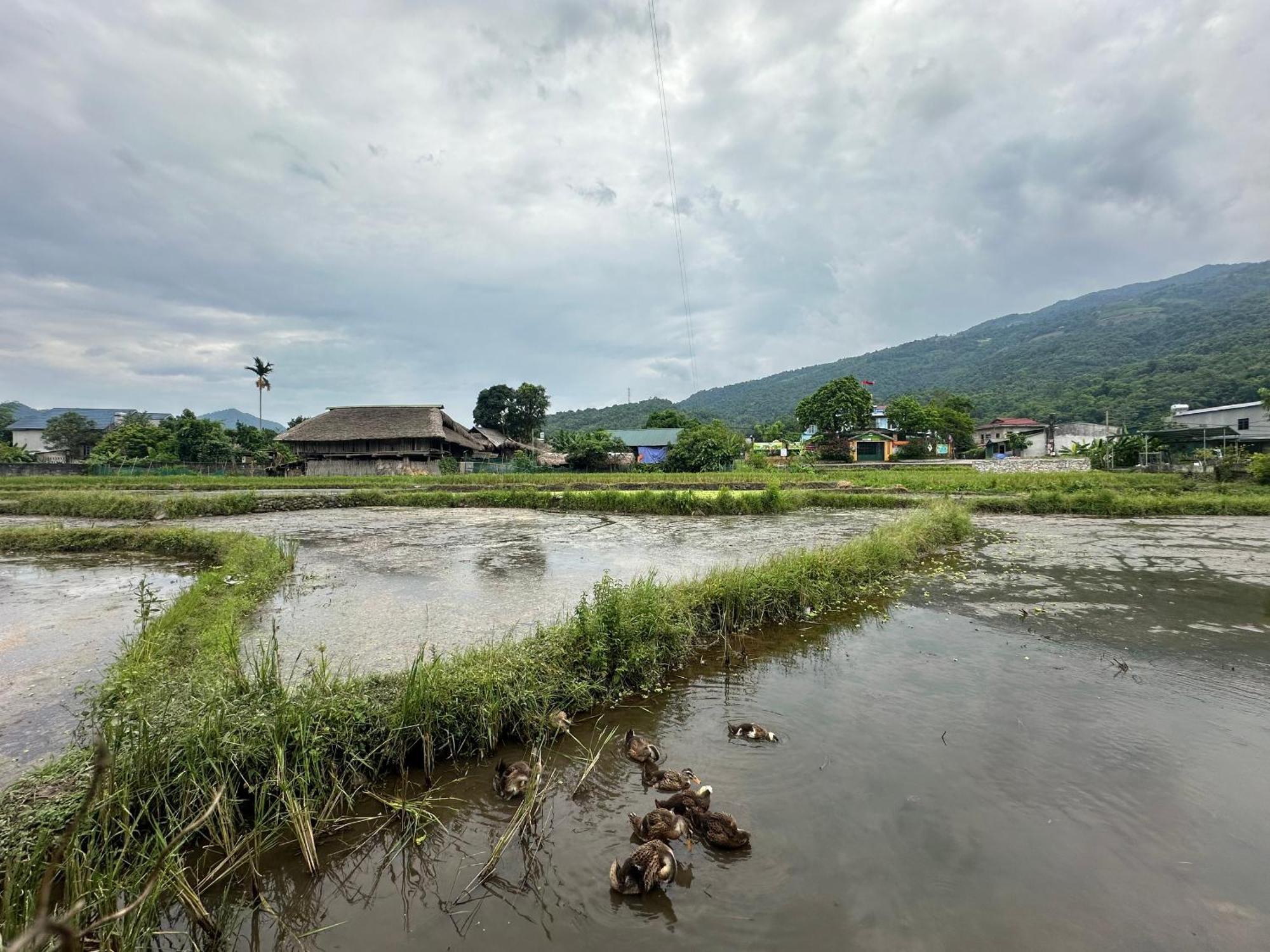 Ha Giang Eco Bungalow Exterior foto
